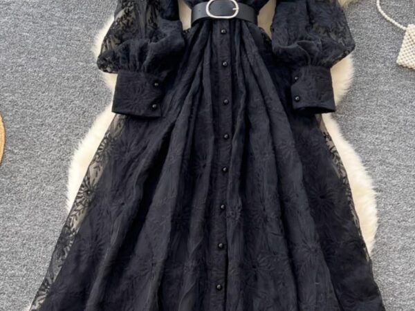 Victorian Style Modest Maxi Dress - Ruffle Front & Embroidered Mesh | Norion Luxury